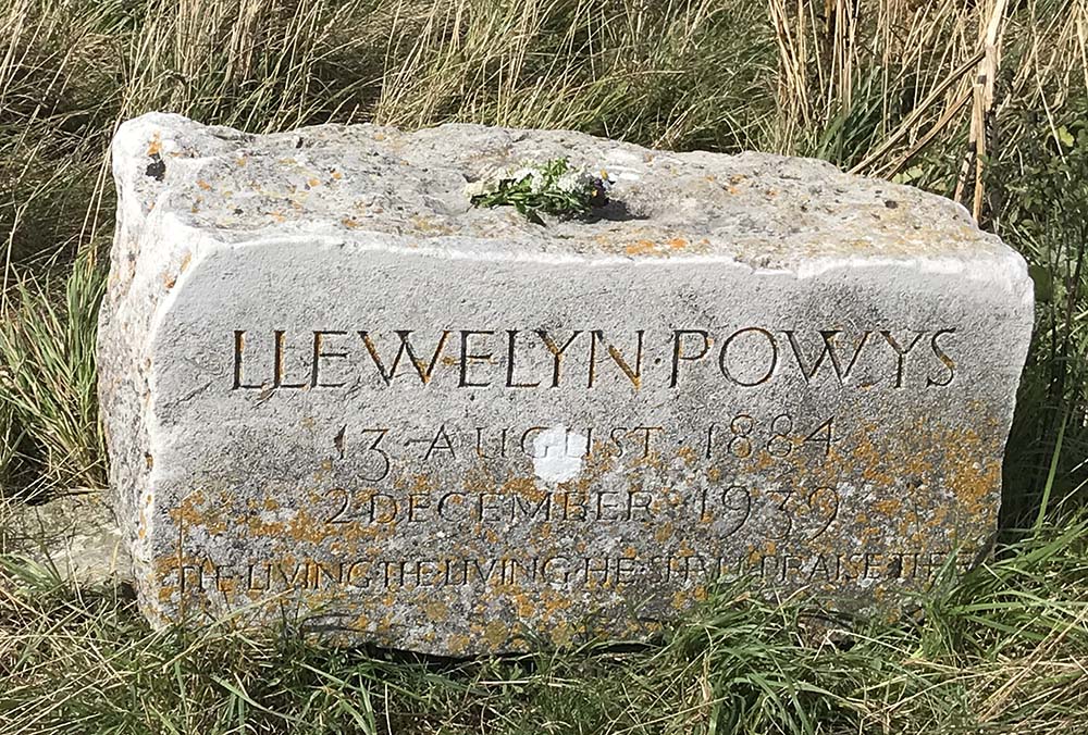 Llewelyn's Stone 2019